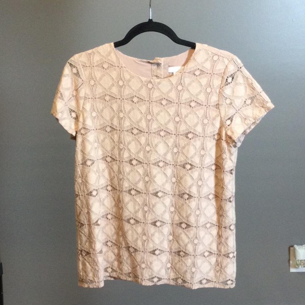 XS J. Jill Rose Pink/Cream Lace Short Sleeve Top